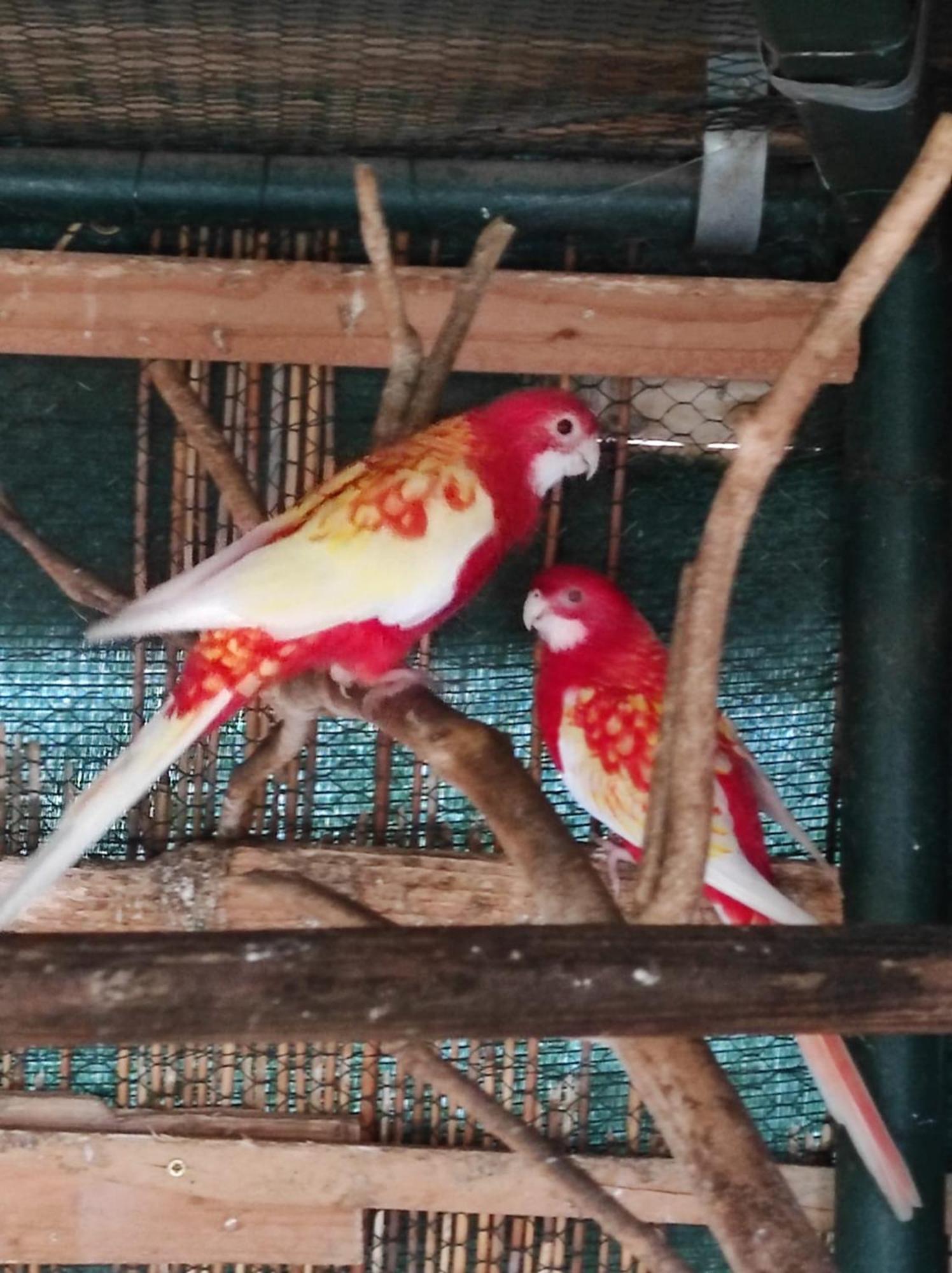 Penzion Kosky Hamr Ngoại thất bức ảnh